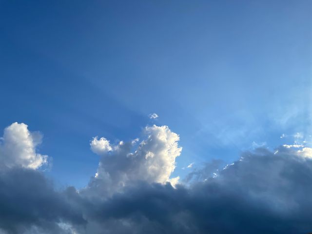 10月11月のお休み
