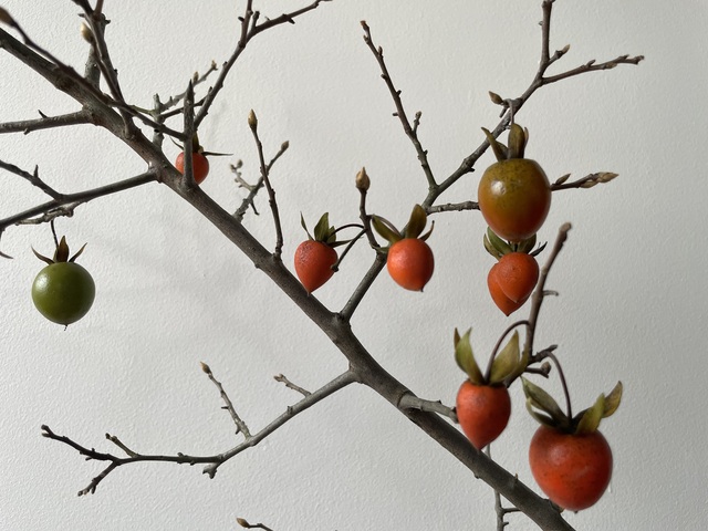 12月1月のお休み